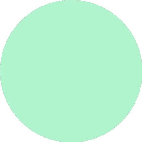 Prolite Heat Transfer Vinyl Fabric - Mint, Plain, 20" H x 12" W (Foot)