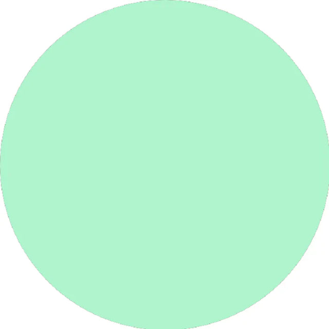 Prolite Heat Transfer Vinyl Fabric - Mint, Plain, 20" H x 12" W (Foot)