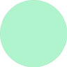 Prolite Heat Transfer Vinyl Fabric - Mint, Plain, 20" H x 12" W (Foot)