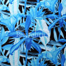 Mish Flora Polyester Spandex Fabric - Floral Print On Black, 58-60" Width (1 Yard)
