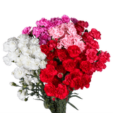 Mother’s Day Spray Carnations – Fresh Flower Bouquets