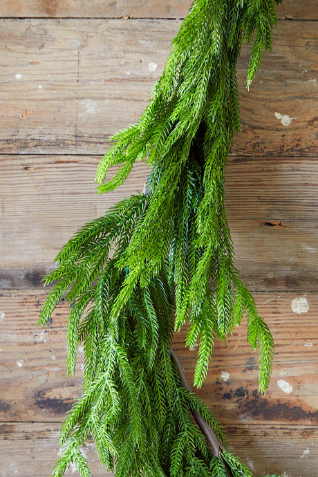 192” Real Touch Norfolk Pine Garland