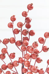 22" Harvest Chestnut Berry Spray