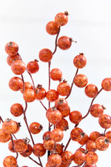 22" Harvest Spice Berry Spray