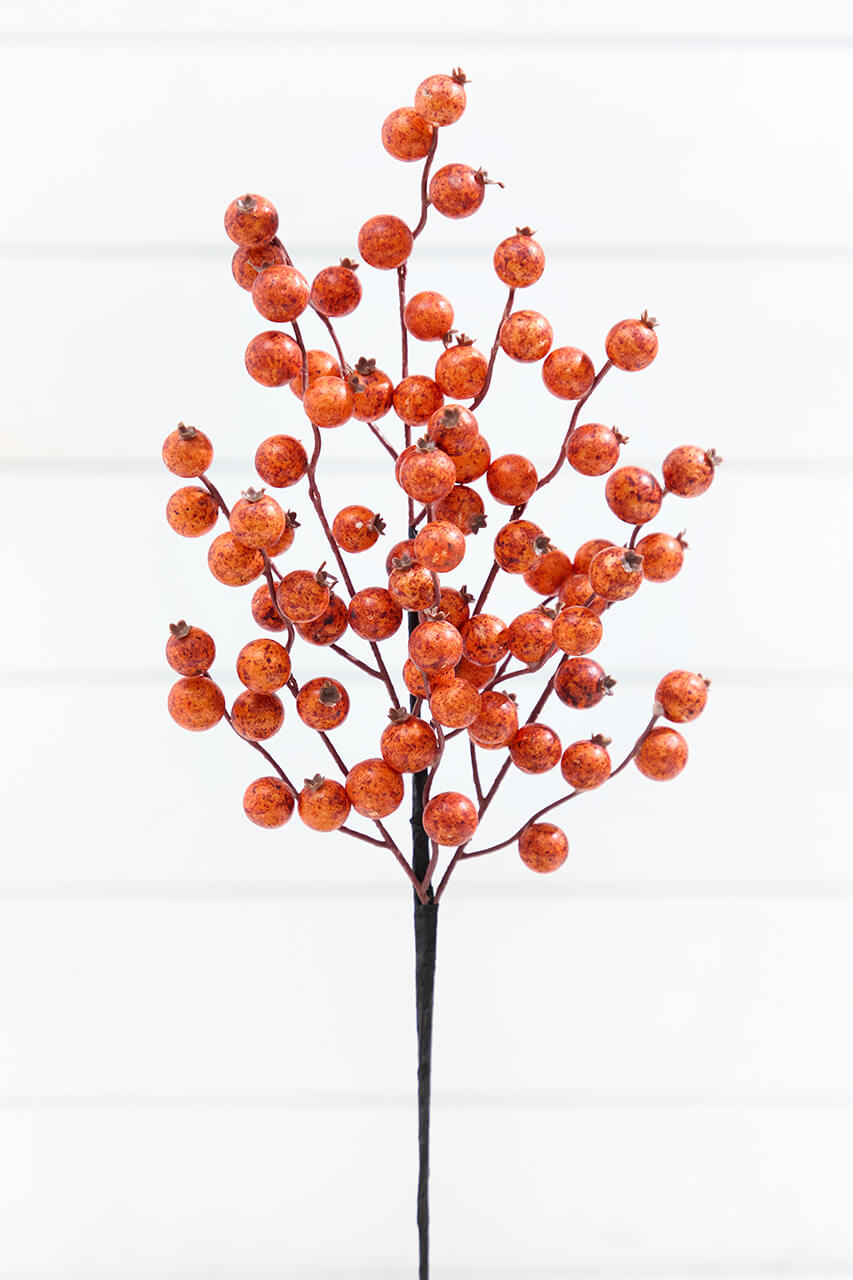 22" Harvest Spice Berry Spray