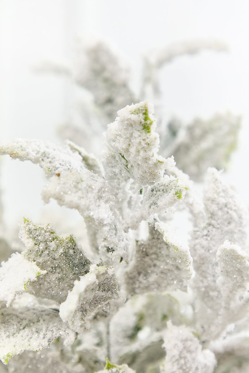 19" Frosted Holly Bush