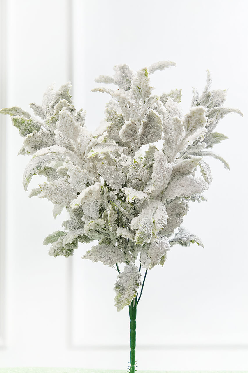 19" Frosted Holly Bush