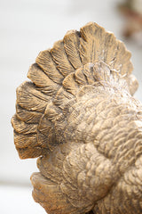 10" Resin Southern Turkey