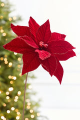 21" x 12" Red Velvet Poinsettia Stem