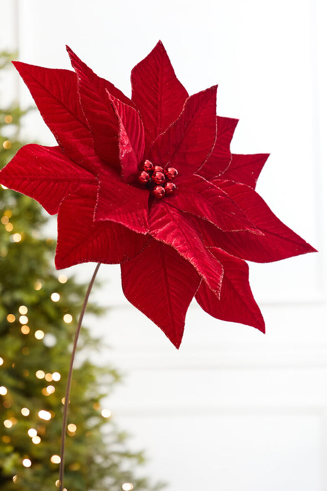24" Red Velvet Poinsettia Stem