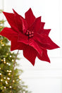 24" Red Velvet Poinsettia Stem