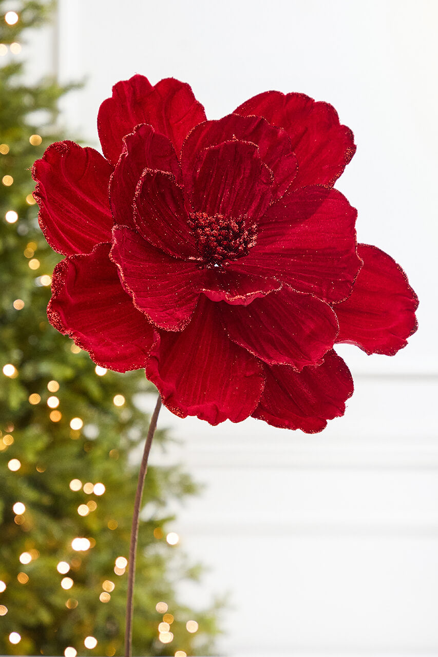21" x 12" Red Velvet Magnolia Stem