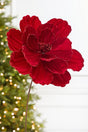 21" x 12" Red Velvet Magnolia Stem