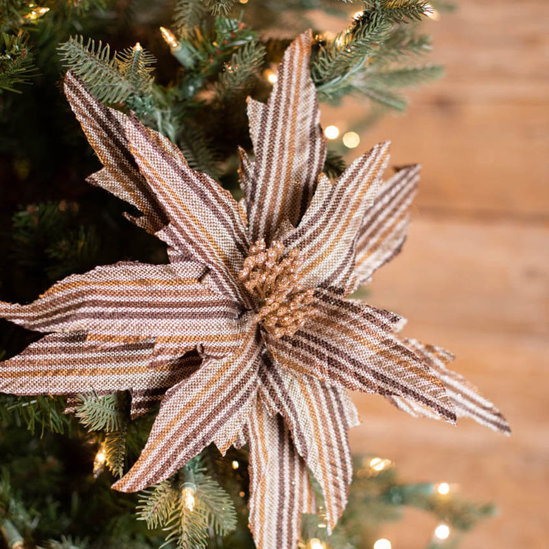 22” x 15" Natural Brown Striped Poinsettia Stem