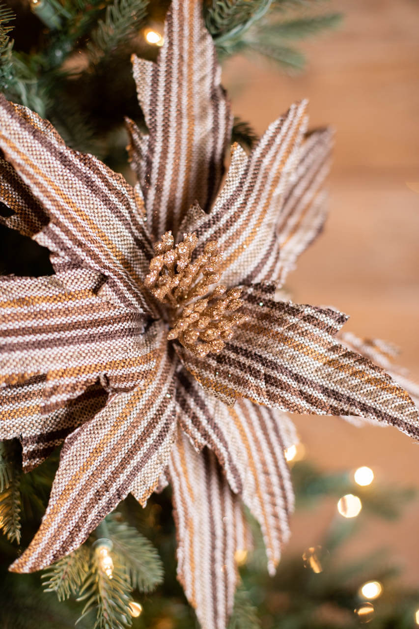 22” x 15" Natural Brown Striped Poinsettia Stem