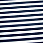 Navy and White Stripe Nylon Lycra Swimsuit Fabric