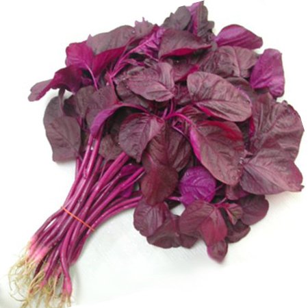 Lal Shak Red Leaves
