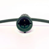 C9 Socket Cord - 25' 6" Spacing