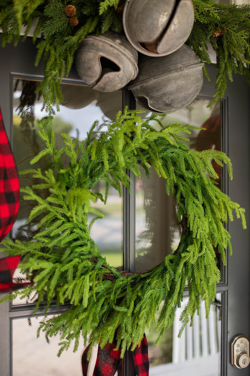 24 Inch Just Cut Norfolk Pine Christmas Wreath