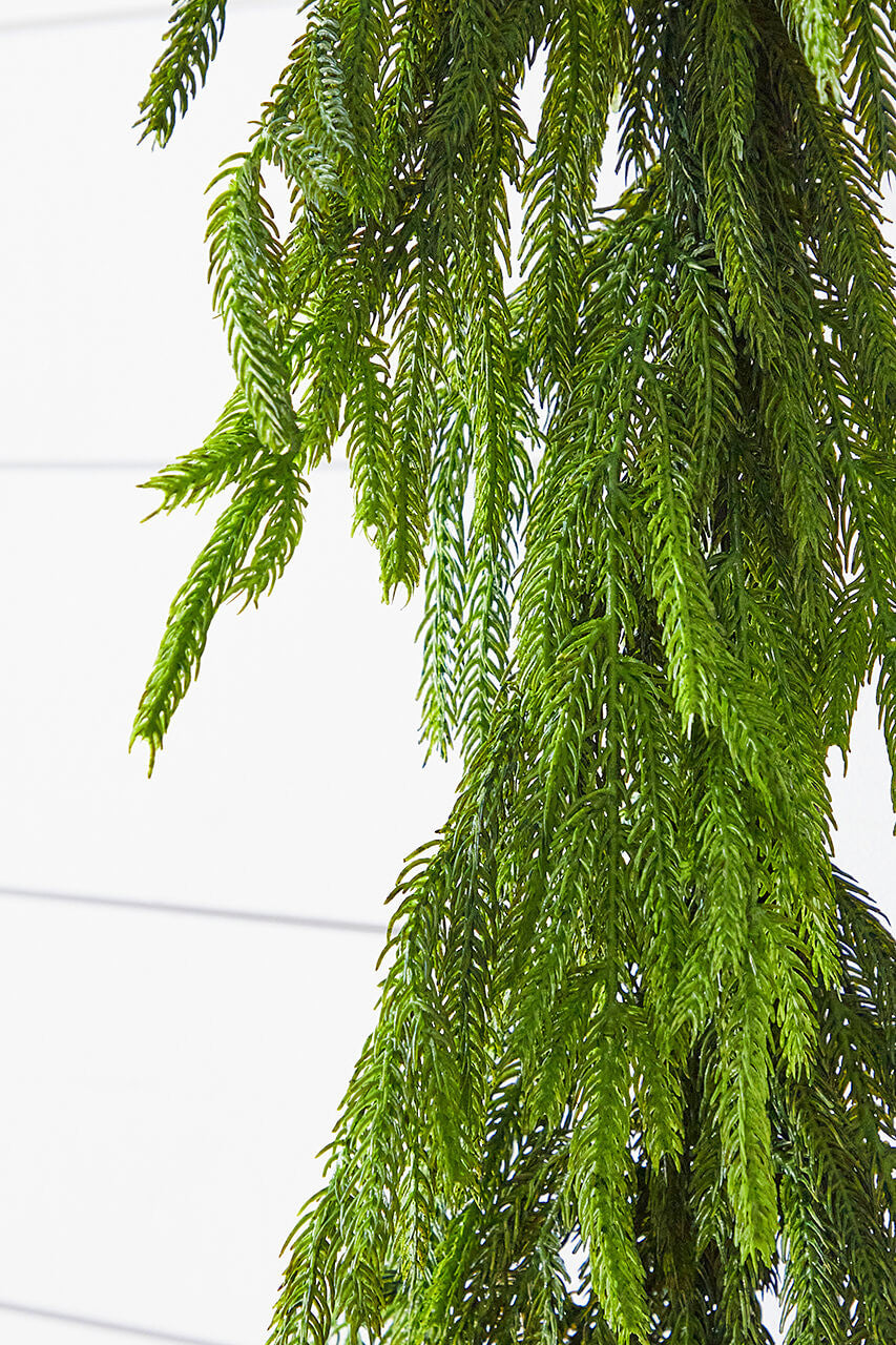 72 Inch Real Touch Norfolk Pine Christmas Garland