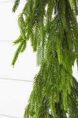 72 Inch Real Touch Norfolk Pine Christmas Garland