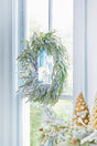 24” Real Touch Flocked Norfolk Wreath