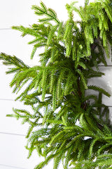 24” Just Cut Norfolk Pine Wreath
