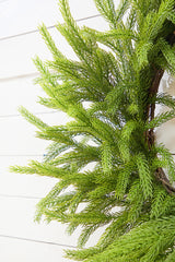 28 Inch Real Touch Forest Norfolk Pine Wreath Natural Winter Christmas Décor