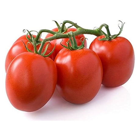 Roma Tomato Heirloom Seeds Paste Tomato Non GMO Open Pollinated Seed Packet