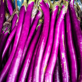 Eggplant Long Purple Seeds Rare NJ Grower USA Heirloom Organic
