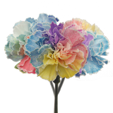 Tinted Rainbow Carnations Bunches – Fresh Cut Flowers