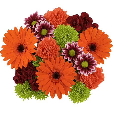 Sunny Days Flower Bouquet Fresh Mixed Arrangement Pack
