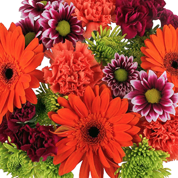 Sunny Days Flower Bouquet Fresh Mixed Arrangement Pack