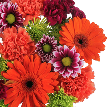 Sunny Days Flower Bouquet Fresh Mixed Arrangement Pack