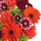 Sunny Days Flower Bouquet Fresh Mixed Arrangement Pack