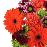 Sunny Days Flower Bouquet Fresh Mixed Arrangement Pack