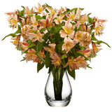 Orange Alstroemeria Stems Flower Bouquets