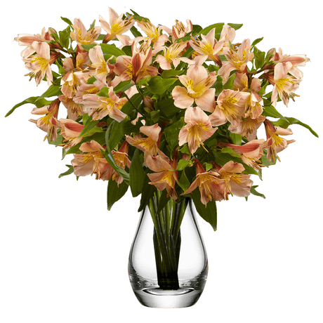 Orange Alstroemeria Stems Flower Bouquets