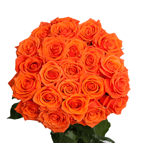 Stunning Rose & Lily Mixed Flower Bouquet for Any Occasion