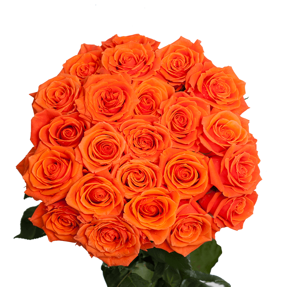 Premium Mixed Rose & Lily Flower Bouquet for Special Occasions
