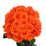 Premium Mixed Rose & Lily Flower Bouquet for Special Occasions
