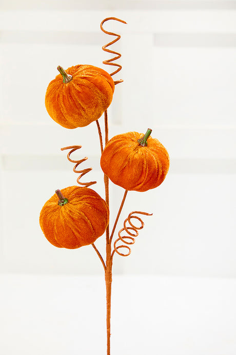24" Orange Velvet Pumpkin Spray