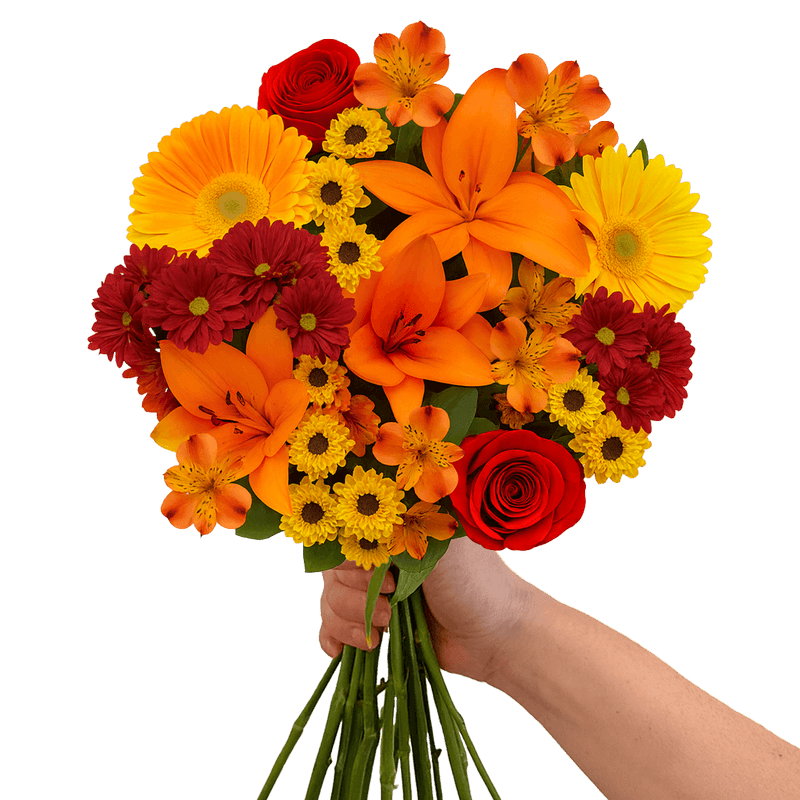 Thanksgiving Fresh Flower Bouquet Mixed Floral Arrangement Pack