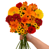 Thanksgiving Fresh Flower Bouquet Mixed Floral Arrangement Pack