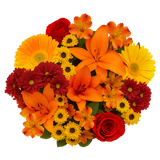 Thanksgiving Fresh Flower Bouquet Mixed Floral Arrangement Pack