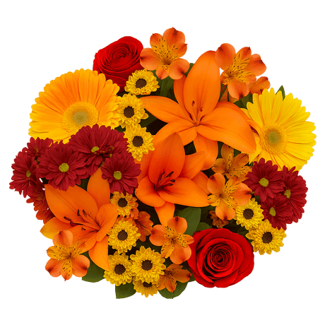 Thanksgiving Fresh Flower Bouquet Mixed Floral Arrangement Pack
