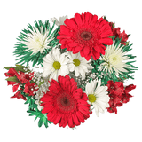Happy Christmas Bouquets Red White Holiday Flower Arrangement Festive Winter Floral Bundle