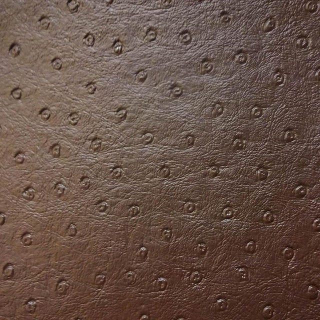Brown Ostrich Vinyl, Default Title