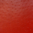 Red Ostrich Vinyl, Default Title