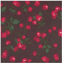 Printed Spandex Cherry Fabric for Swimwear
